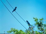 image1.jpeg