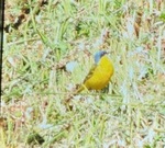 image2.jpeg