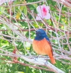 image3.jpeg